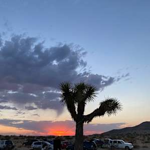 Camp Mirage