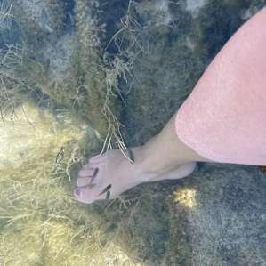 Fish Pedicure