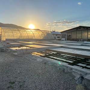 Sunset Over one covered dive pool