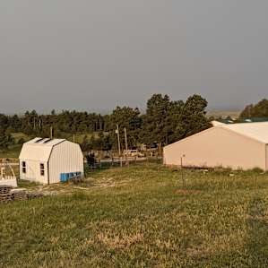 RVing with Goats and Alpacas
