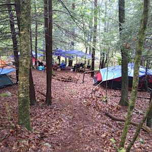Enchanted Encampments