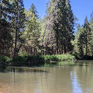 View of the pond