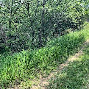 Horse Creek Adventures: Tent Sites