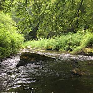confluence of the creeks