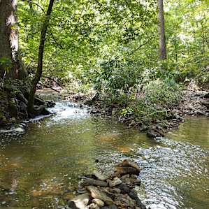 Pretty creek you come to when you walk down the short trail
