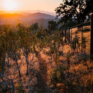 Sunset from the ridge