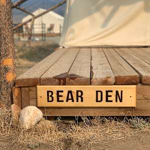 Yellowstone Dreamin Camp