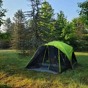 Camp Stonewood Ranch