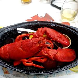 Fantastic restaurants in Bar Harbor! Delicious!!!