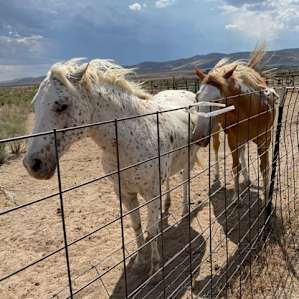 Southgate Farm & views of Mt. Nebo