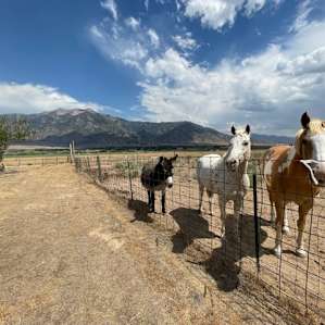 Southgate Farm & views of Mt. Nebo