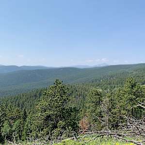 Camp Wilder