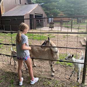 Couldn’t get enough of the goats!