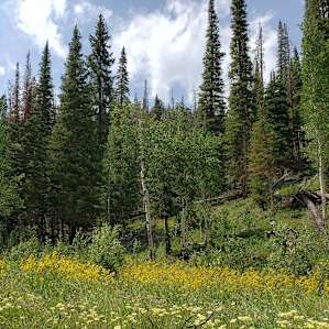 Never Summer Mountains hike in Routt National Forest