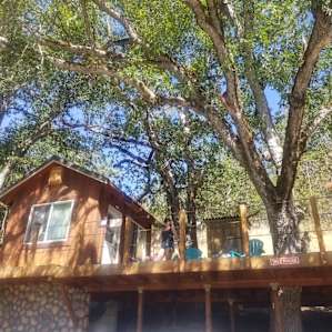 Treehouse