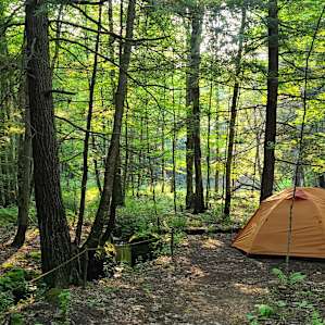 Brookside Campsite