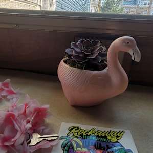 Cute decor