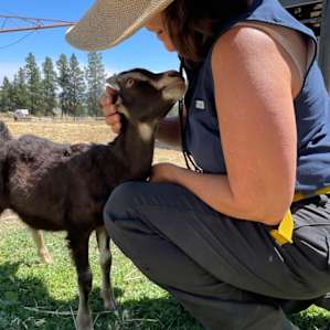 Fell in love with the friendly goat.