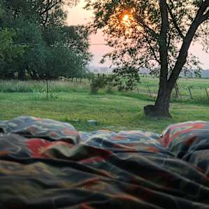 Shaded Private Camp Site