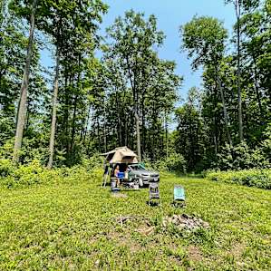 Camp Escape: The Seclusion