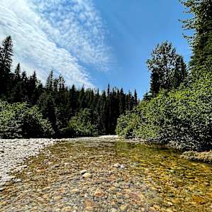 Mad Fox Riverside Campsites