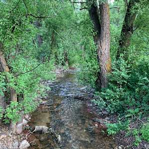 A-Lodge Boulder - TENT SITES