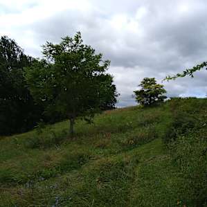 Eaters Acres Farm Camp
