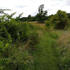 Eaters Acres Farm Camp