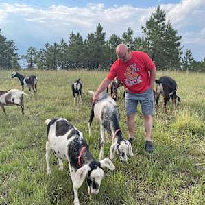 RVing with Goats and Alpacas
