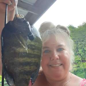 Wild Toad Lake