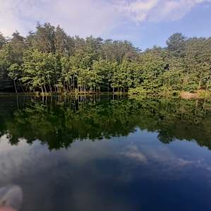 Wild Toad Lake