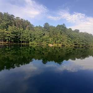 Wild Toad Lake