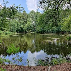 Cbo & Dana's Lakeside Camp