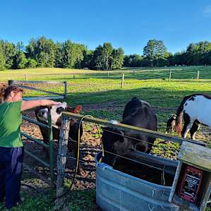Spring lake retreat on the farm