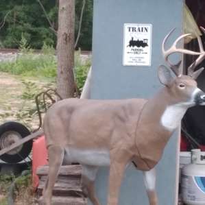 A "neighbor"!
