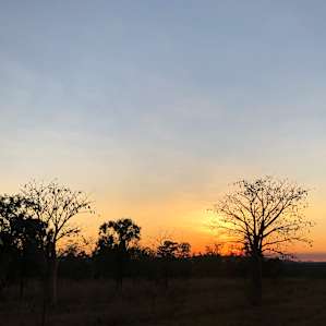 Ord Valley Delight