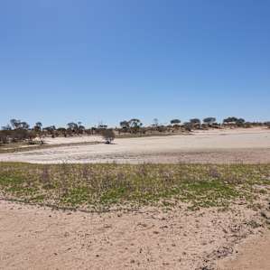 Currawilla Station