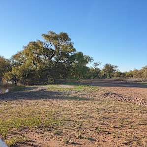 Currawilla Station