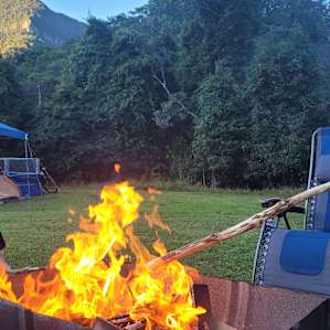 Fig Tree Campsites