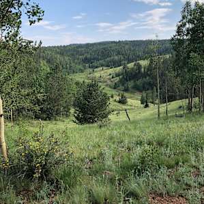 Beautiful views from the site.
