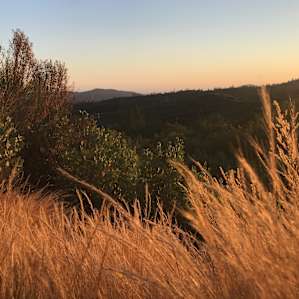 Secluded Vineyard Walk-In (Site 3)