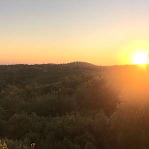 sunset from site 3