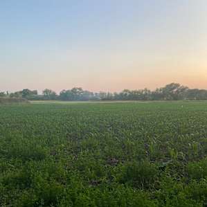 Legacy Creek Acres