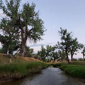 Tipperary Ranch camping
