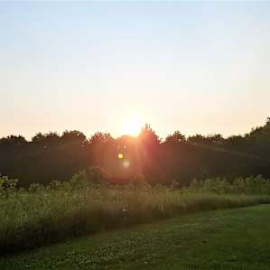The sunrise was beautiful.