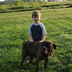 My little guy finally got the neighbors dog to love him.