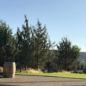View from the patio