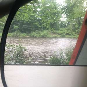 Pine Forest & Riverfront, w/firwod