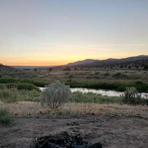 Buzzard's Roost
