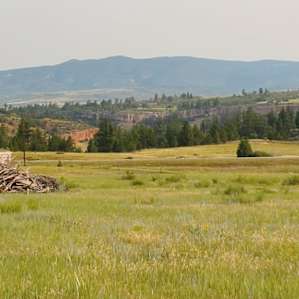Bare Bones Bivouac